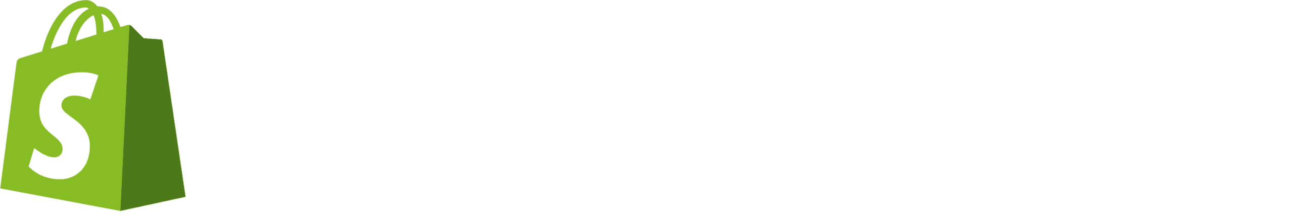 Shopify Partner