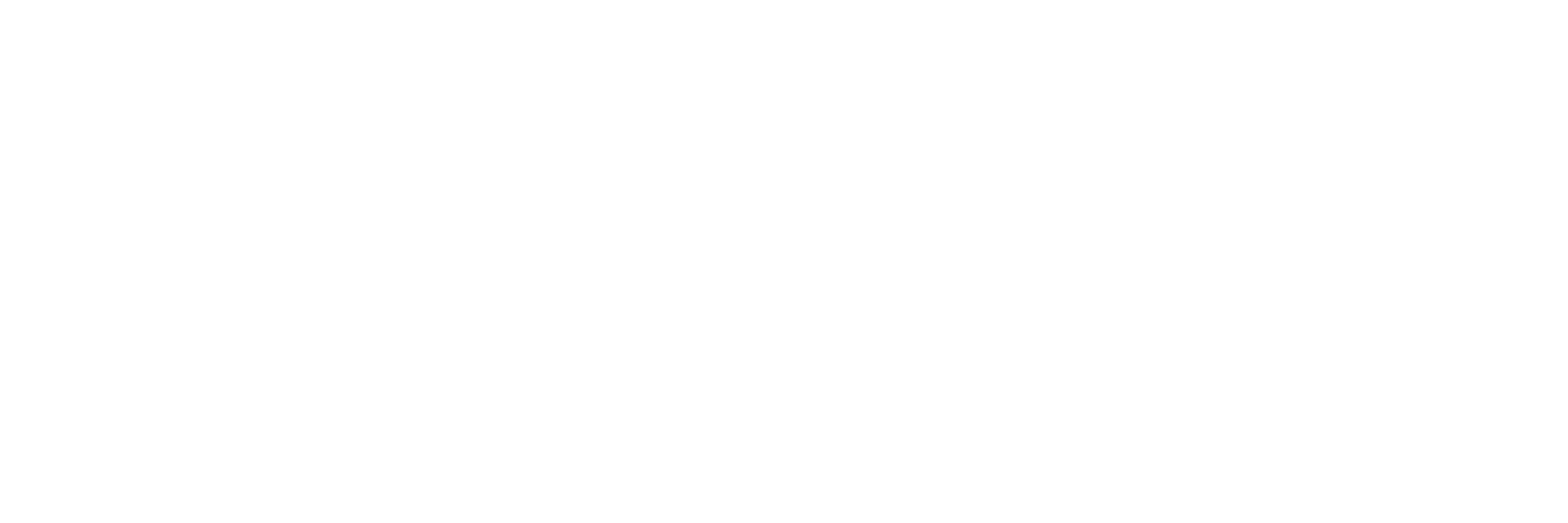AMELI Zürich